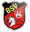 BSV Blog Logo